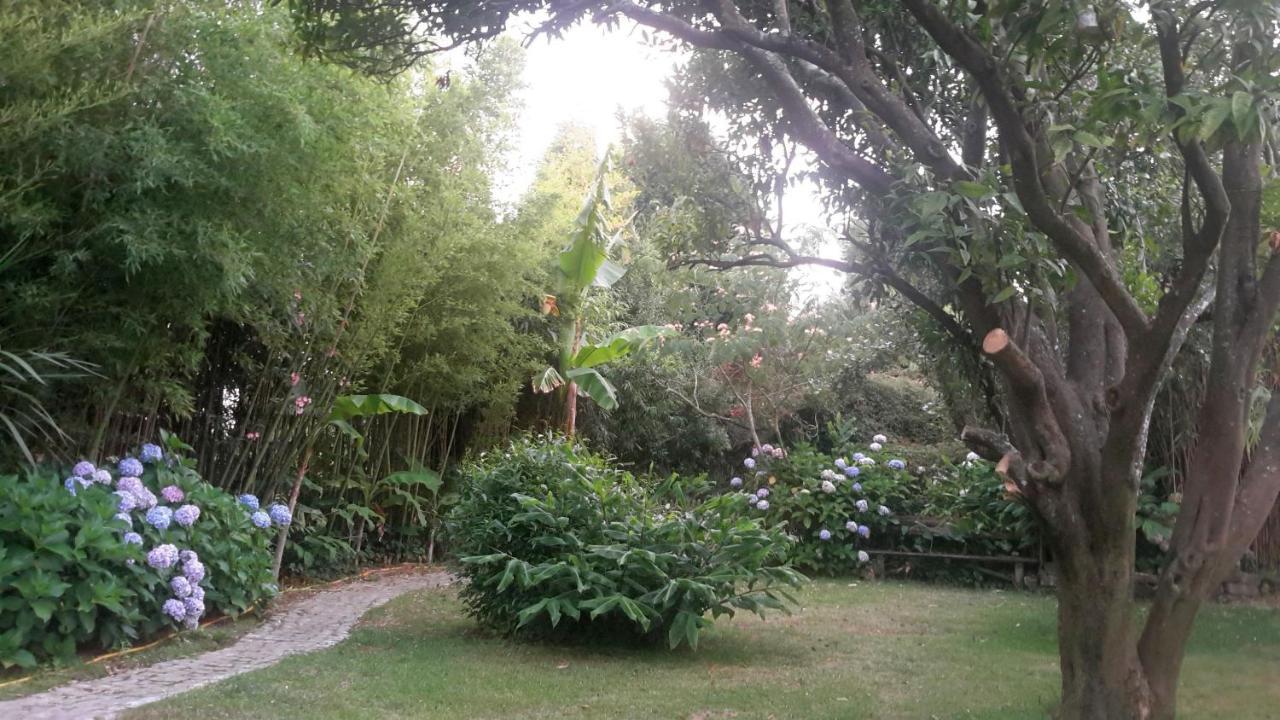 Casa 3 Aguias Bed & Breakfast Aveiro Eksteriør bilde